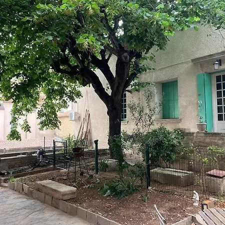 La Terrasse Royale De Appartement